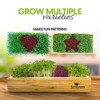 Self-Watering Microgreens Growing Kit – Easiest Way to Grow Fresh Microgreens at Home. Includes Reusable Tray, Organic Seeds, Grow Mats & Stylish Bamboo Frame – No Soil, No Mess (Salad & Broccoli)