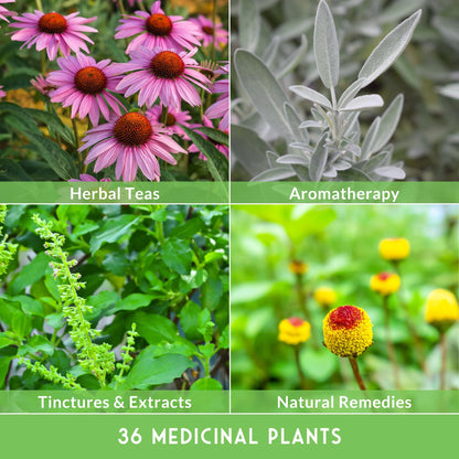 Ultimate Medicinal Herb Seeds Variety Pack – 36 Heirloom Varieties, 28,000+ Lavender, Calendula, Echinacea, Peppermint, Yarrow – Non-GMO Garden Kit by Survival Garden Seeds
