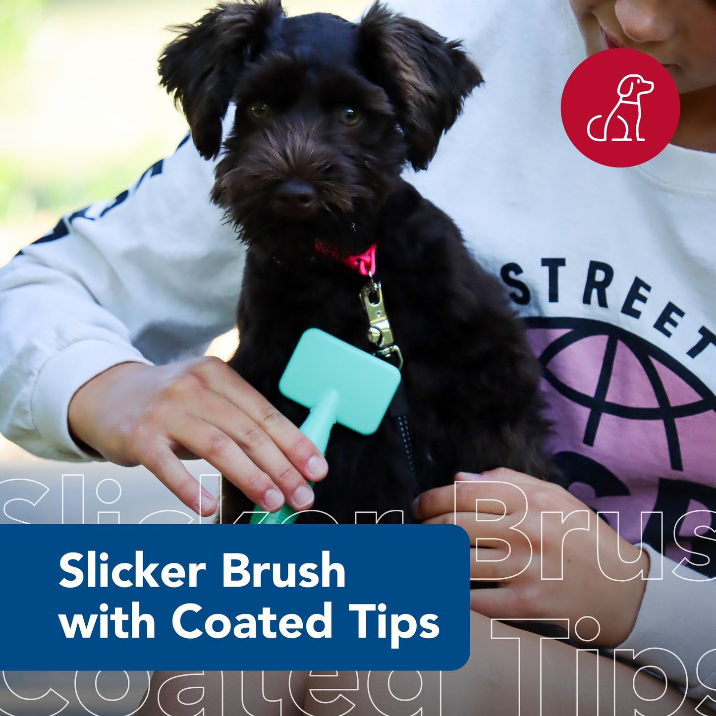 Coastal Pet Li'l Pals Dog Slicker Brush with Coated Tips - Dog Grooming Brush for Small Breeds & Puppies - One Size