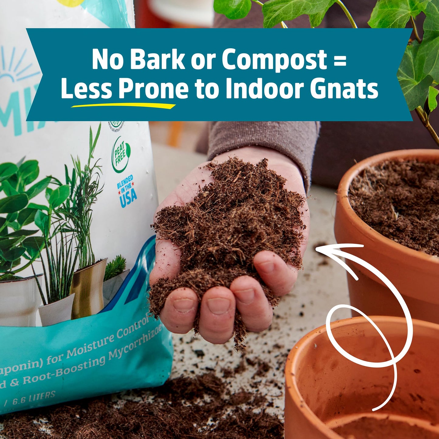 Back to the Roots 100% Organic Indoor Potting Mix (6 Quart), Promotes Healthy Houseplant Growth, Made in The USA