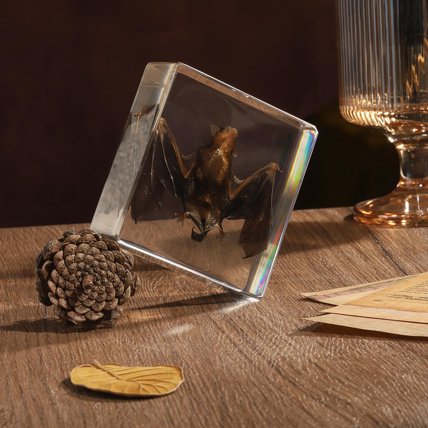 Taxidermy Bat, Real Bat Specimens Animal Specimen in Resin for Science Classroom Science Education, Great Gift for Fans of Taxidermy, Animal Skull, Oddities, Biology(3 x 3 x 1 inch)