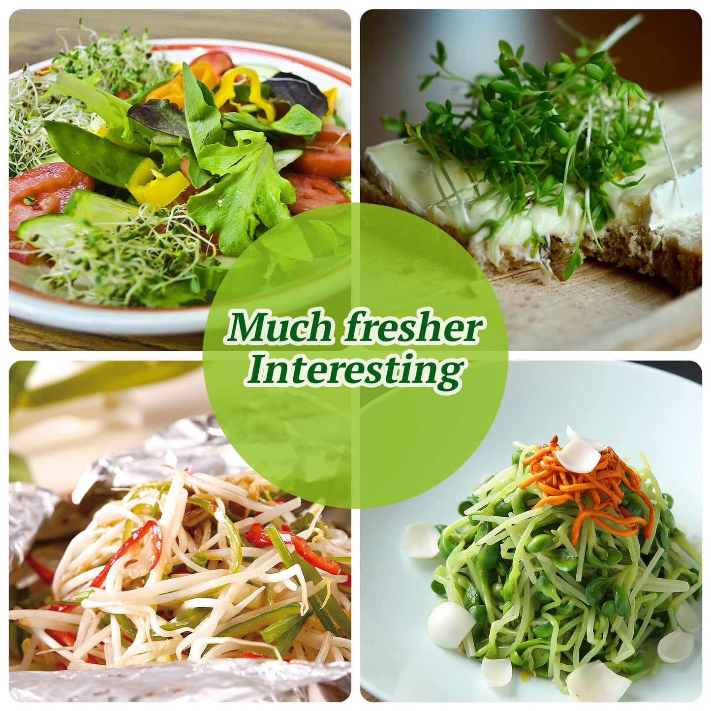 Premium Sprouting Jar Kit 2Pcs Large Wide Mouth Mason Jars With Screen Sprout Lid,Sprouting Jar Stand,Tray,Blackout Sleeves,-Seed Sprouting Kit For Growing Mung beans,Broccoli