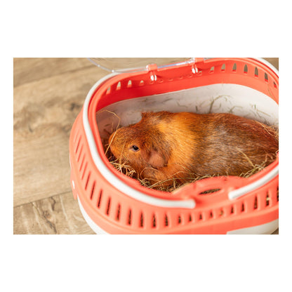 TRIXIE Pico Transport Crate, Small Pet Carrier, Portable Travel Carrier, for Small Pets, Hamsters, Guinea Pig, Lizards