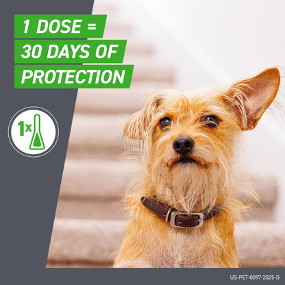 FRONTLINE Plus Flea and Tick Treatment for Large Dogs Up to 45 to 88 lbs. 3 Treatments