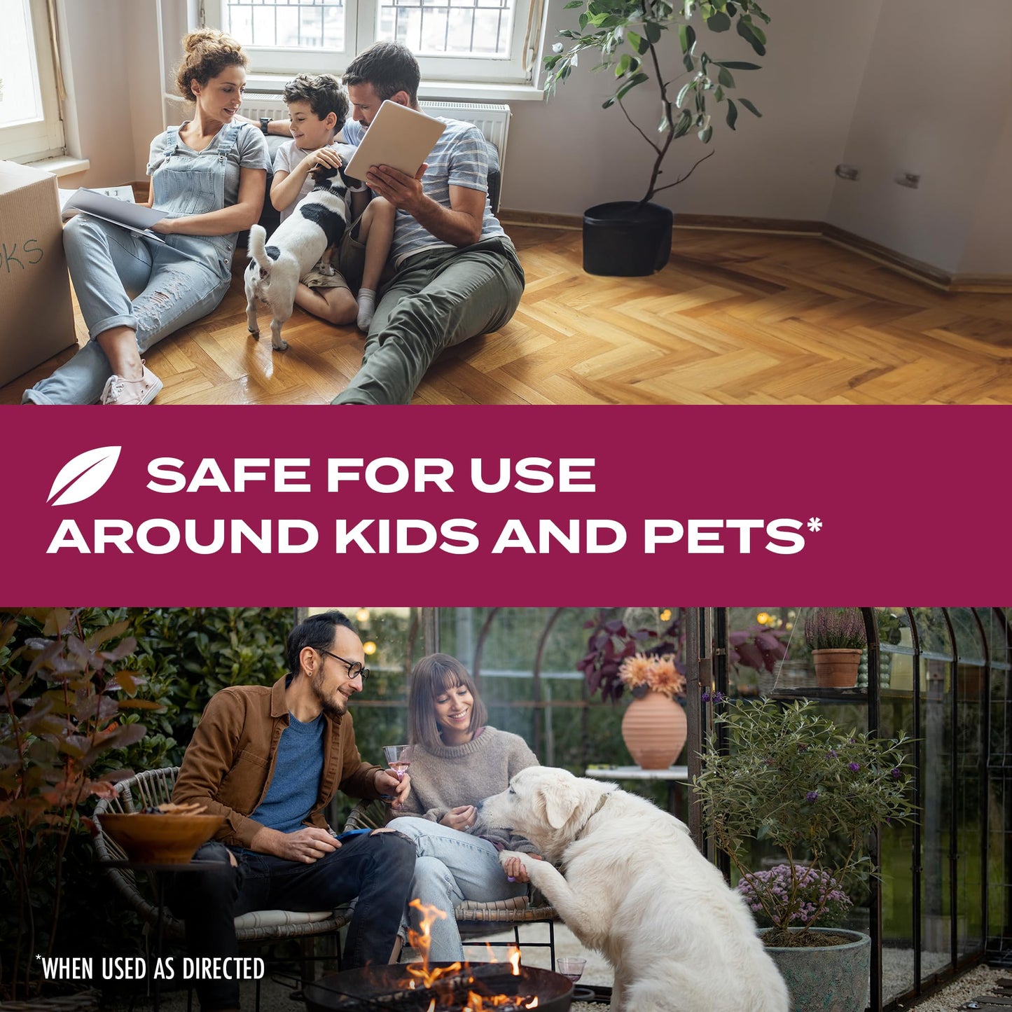 STEM Kills Ants, Roaches And Flies: Plant-Based Active Ingredient Bug Spray, Botanical Insecticide For Indoor And Outdoor Use; 12 fl oz (Pack Of 1)