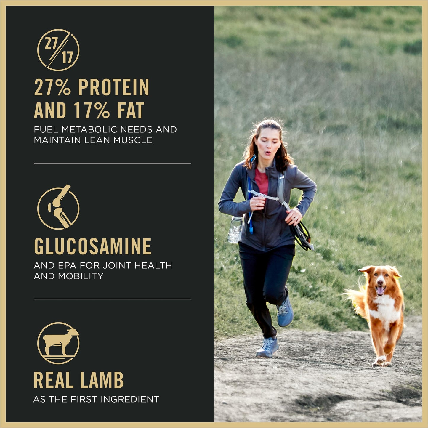 Purina Pro Plan High Protein Dog Food, Small Bites, SPORT 27/17 Lamb and Rice Formula - 6 lb. Bag