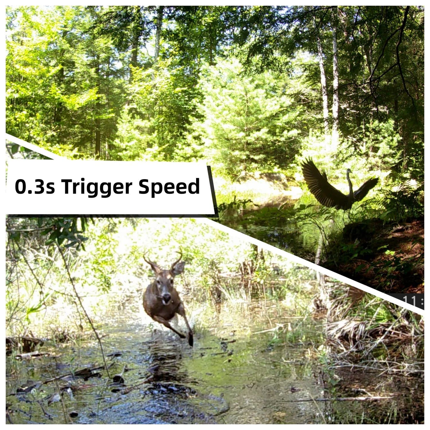 WOSODA 2 Pack Trail Camera with Night Vision Motion Activated Waterproof,30MP Hunting Game Camera,1080P HD Trail Cam with SD Card for Wildlife Monitoring,Outdoor Scouting & Security