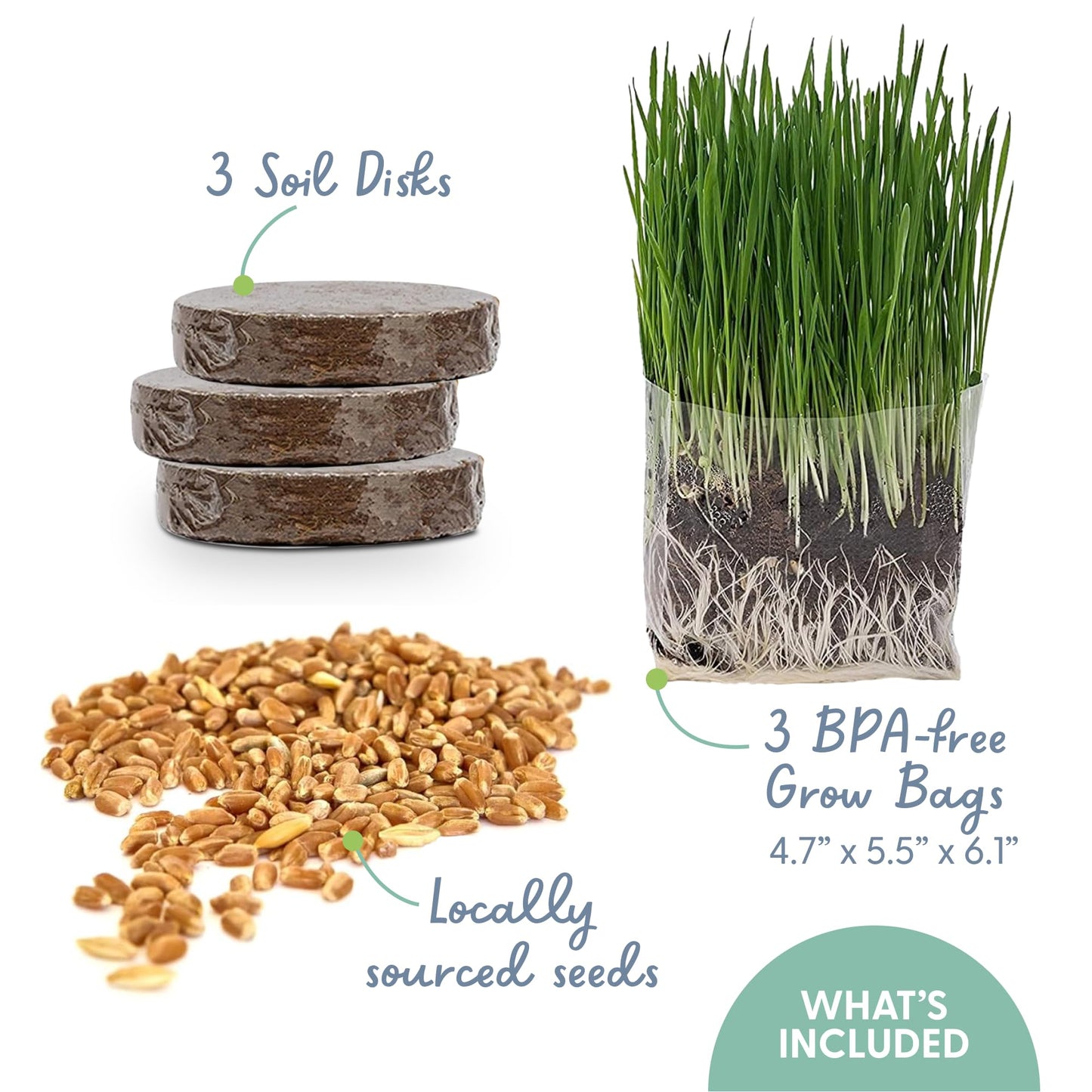 The Cat Ladies Cat Grass Grow Bag Kit, Organic Cat Grass for Indoor Cats, Cat Grass Seeds, Soil & Grow Bags 3 Pack