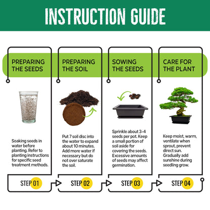 REALPETALED Bonsai Starter Kit – Japanese Bonsai Tree Kit 7 Seeds Pots – Complete Grow Your Own – Plant Lover Gifts Home Gifts for Men and Women