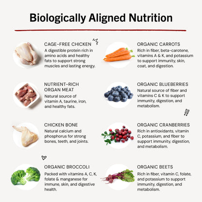 Stella & Chewy's Freeze-Dried Raw Dinner Patties - Chicken Recipe - High Protein Grain-Free Puppy & Dog Food - Perfect For Picky Eaters - 5.5 oz