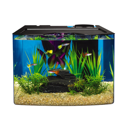 Tetra Crescent STEM Aquarium Kit 3 Gallons, Curved-Front Fish Tank with LEDs and STEM Activity Guide