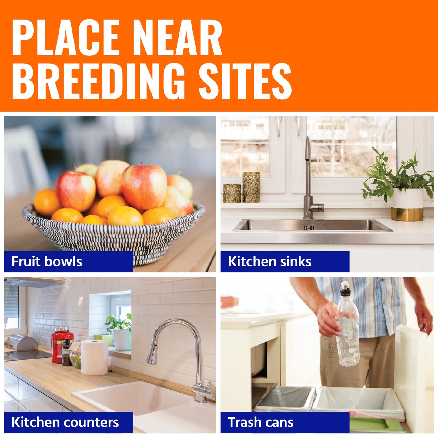 TERRO Fruit Fly Traps for Indoors (4 Pack) + 180 Days of Lure Supply