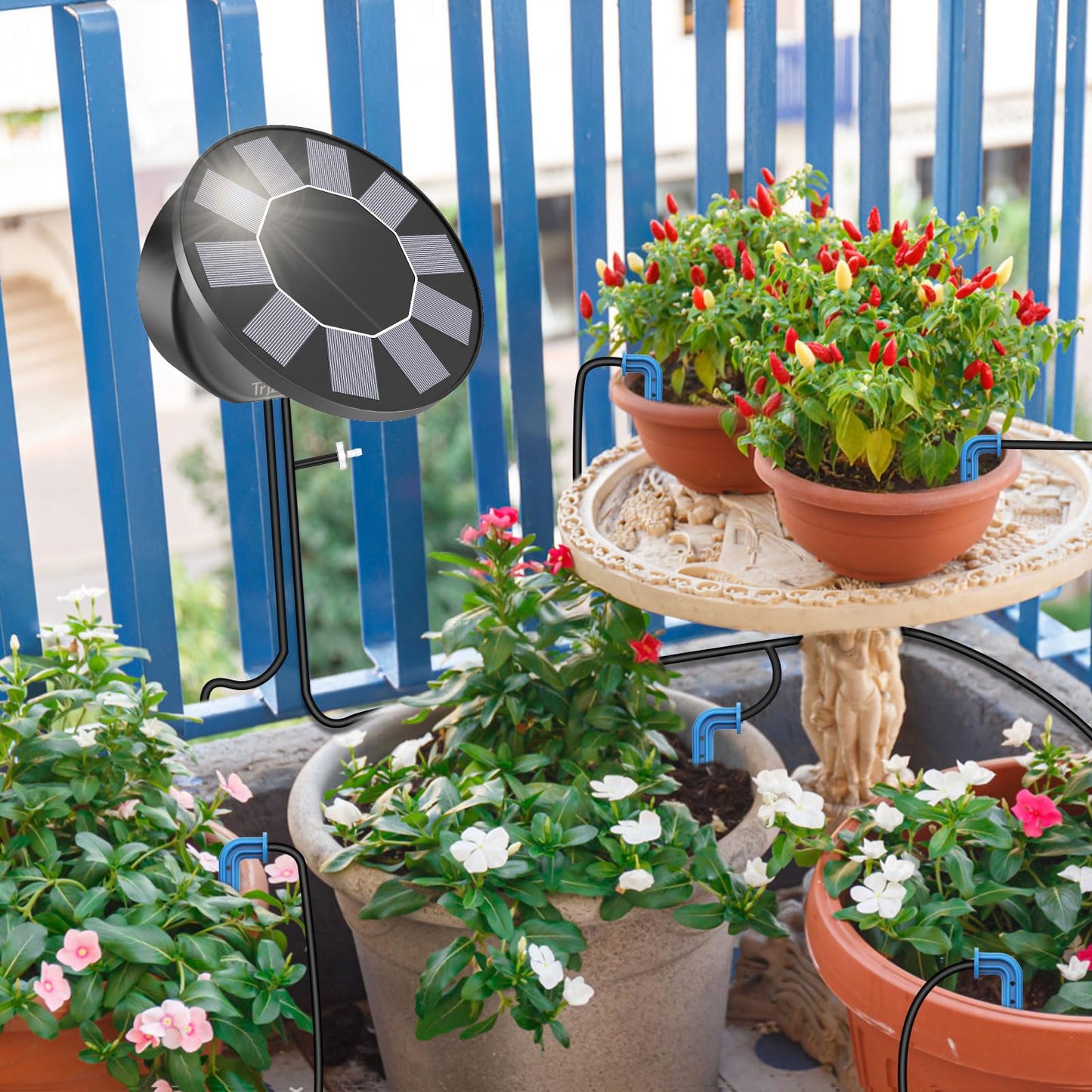 Solar Automatic Drip Irrigation System Kit, Auto Watering Kit for DIY Garden Watering System with 9 Timing Modes and Anti-Siphon Set，Indoor/Outdoor Garden, Balcony & Patio Irrigation System