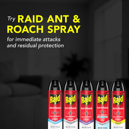 Raid Ant & Roach Killer Spray For Listed Bugs, Keeps Killing for Weeks, Fresh Scent, 17.5 oz
