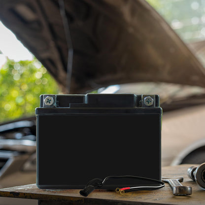 Schumacher Electric Ring Connection Cable for Battery Chargers and Maintainers, WM-12, 18 Inches, Quick Connect, for Motorcycle, Power Sport,and Lawn Tractor Batteries