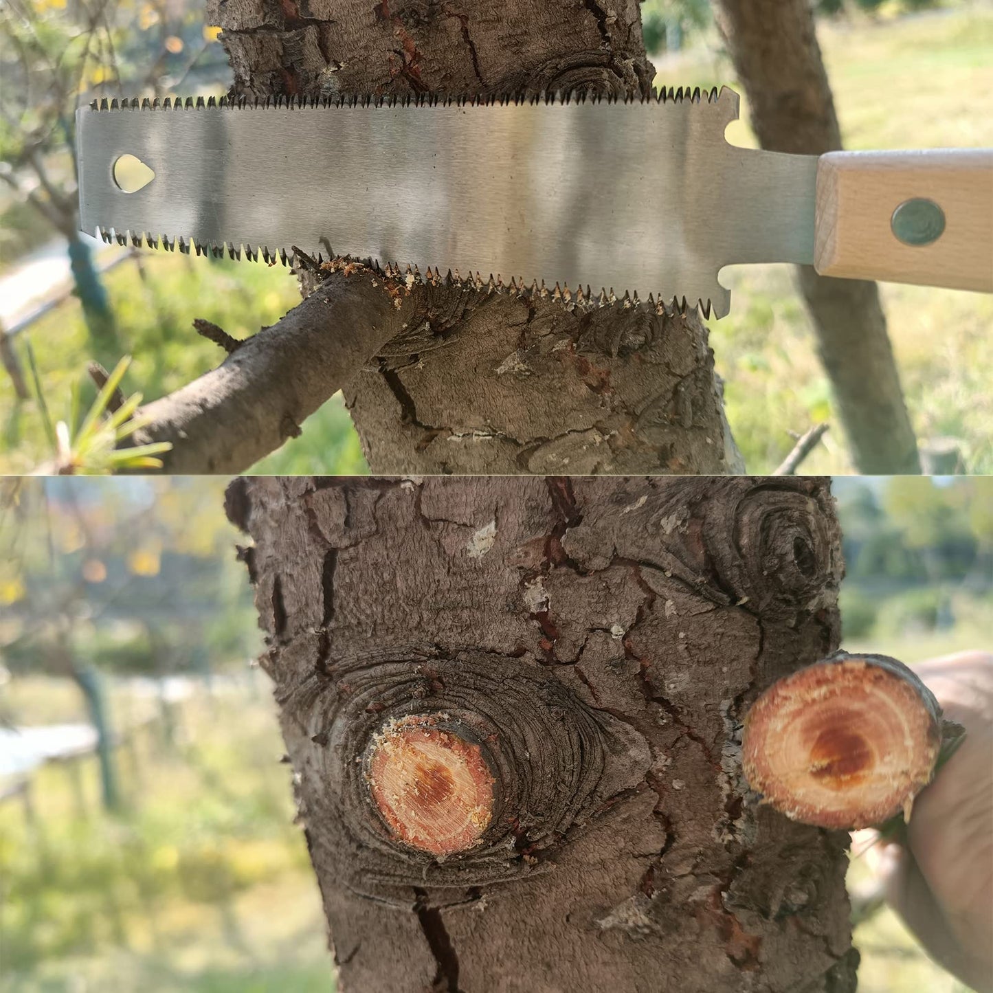 WEIMELTOY Small Woodworking Hand Saw, 6 inch Flexible Blade Double edge TPI 17/11 Pull Saw for Craft, Hobby, DIY, Non Slip Wood Handle Garden Trim, Sharp and Light Woodworking Tools