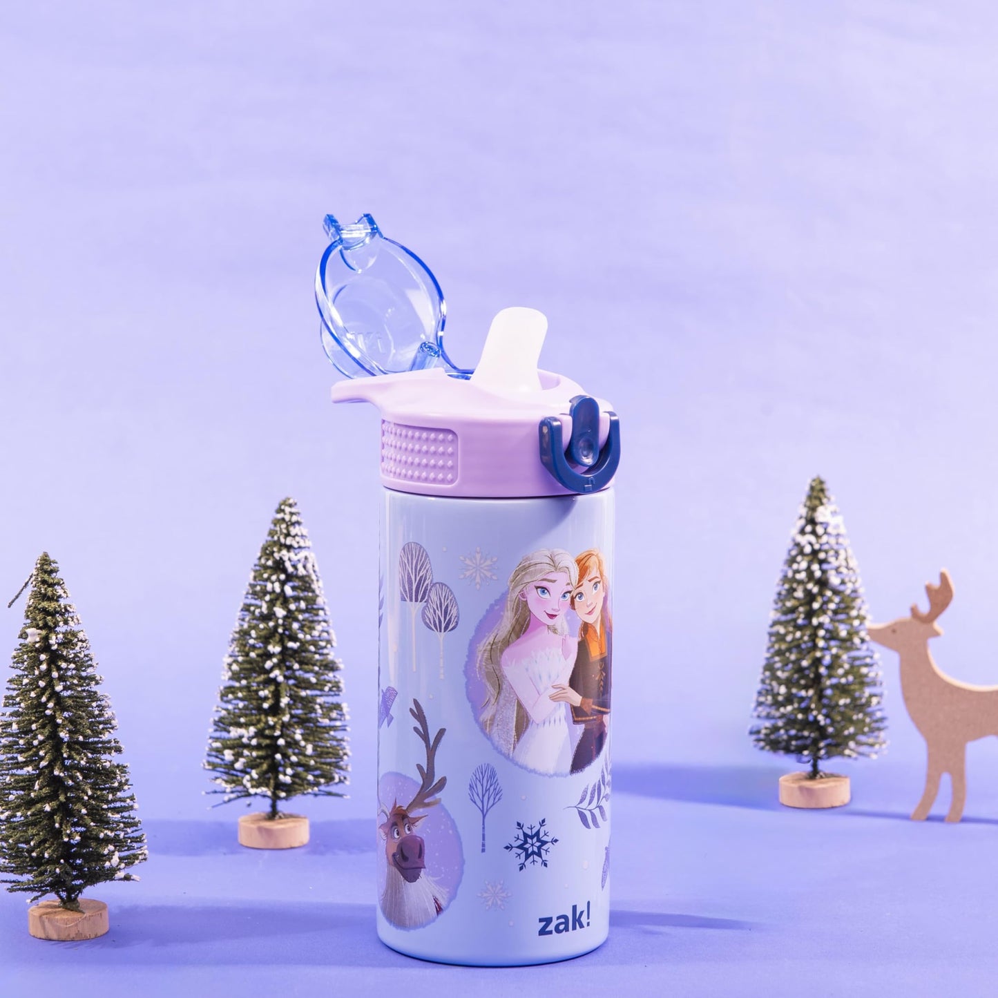 Zak Designs Disney Frozen Sage Kids Water Bottle For School or Travel, 14oz Stainless Steel Water Bottle With Straw, Handle, and Leak-Proof, Pop-Up Spout Cover (Anna & Elsa)