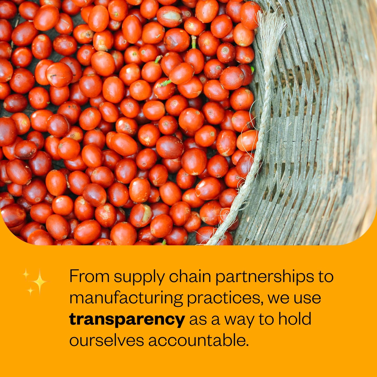 Counter Culture Coffee - Whole Bean Coffee - Freshly Roasted Coffee Beans - Premium Coffee - Multiple Flavors - One 12 Ounce Bag of Each (Hologram)