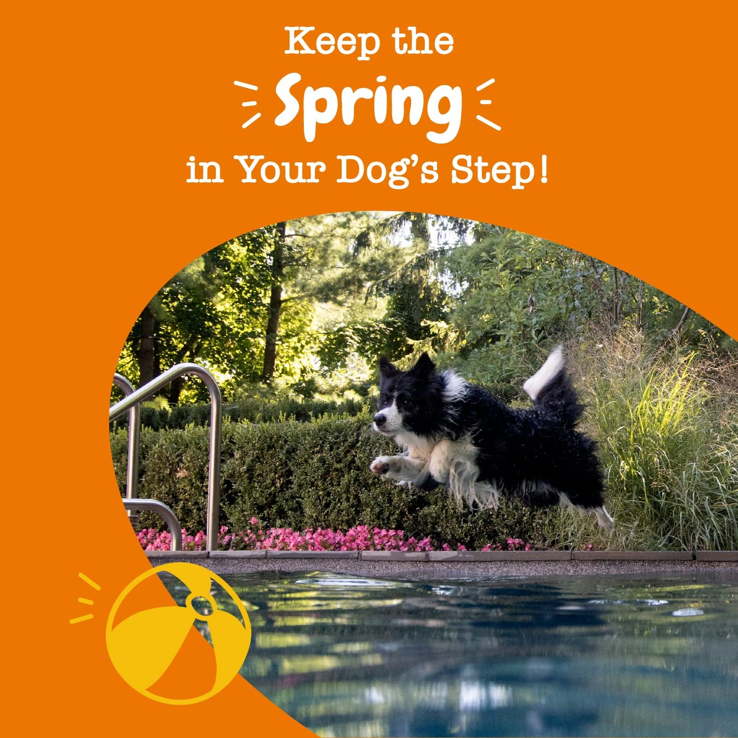 Zesty Paws Hip and Joint for Dogs, Glucosamine for Dogs Hip and Joint Supplement with Chondroitin, MSM, Vitamins C & E - Bacon, 90 Count