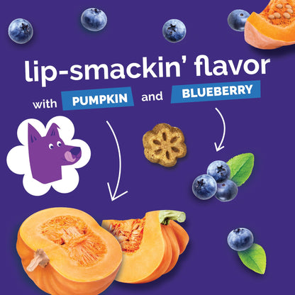 Fruitables Skinny Mini Dog Treats, Healthy Pumpkin Treat for Dogs, Low Calorie & Delicious, Puppy Training, No Wheat, Corn or Soy, Made in the USA, Pumpkin and Berry Flavor, 5oz