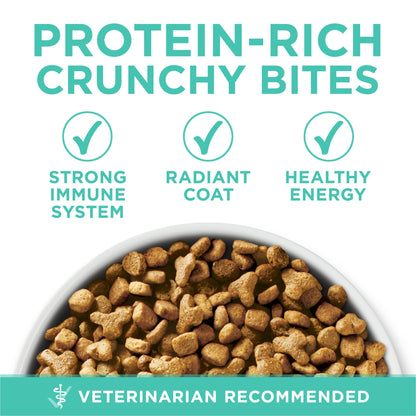 Purina ONE Sensitive Stomach, Sensitive Skin, Natural Dry Cat Food, +Plus Sensitive Skin and Stomach Formula - 16 lb. Bag