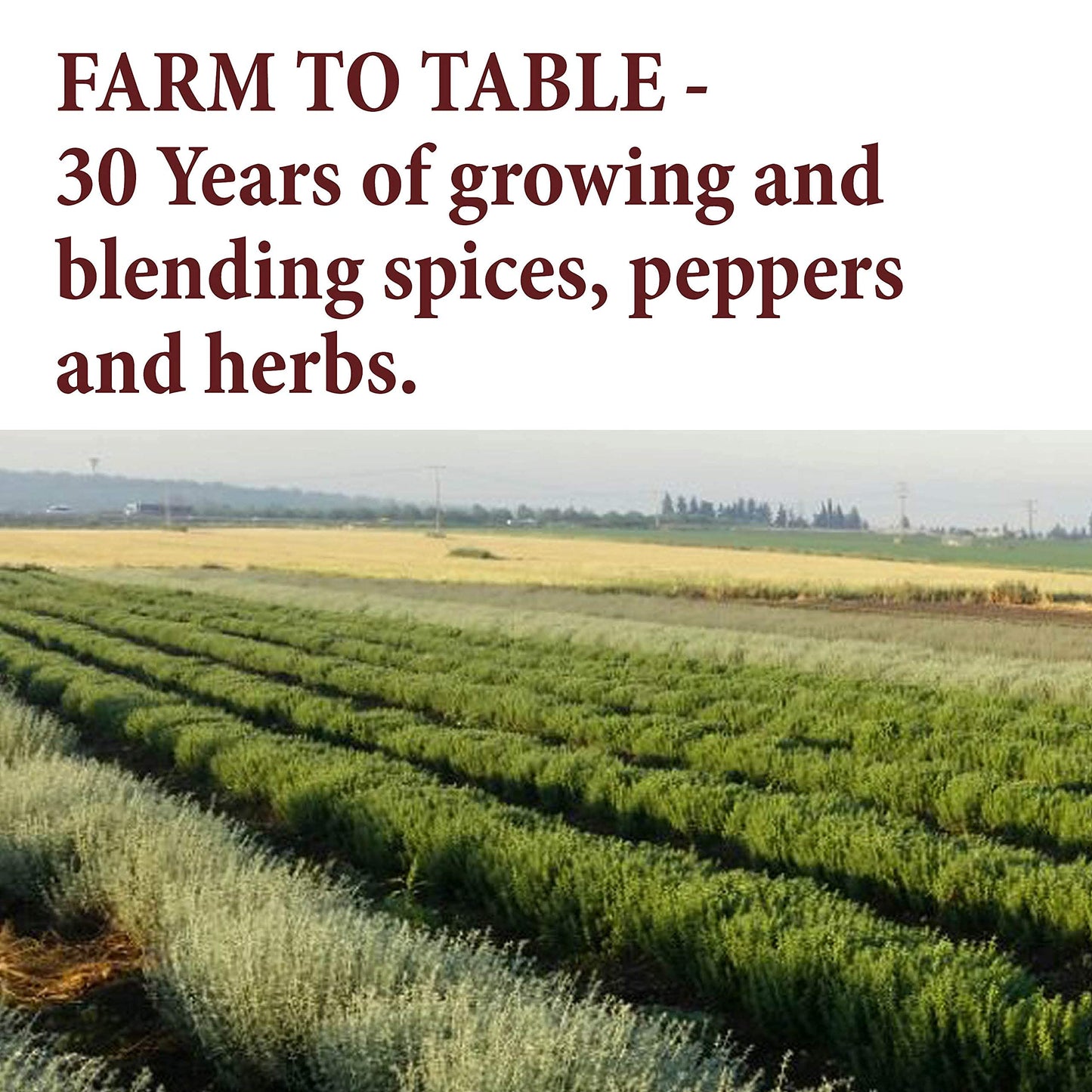 The Spice Way - Baharat Spice Blend Mix 2 oz (Middle Eastern Seasoning) No Additives, No Preservatives, No Fillers, Just Spices and Herbs We Grow, Dry and Blend In Our Farm. Resealable Bag