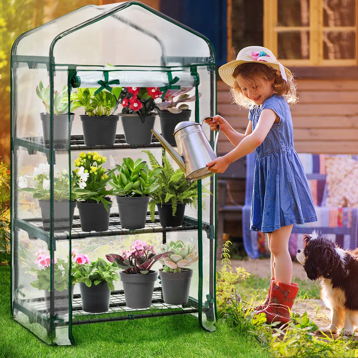 EAGLE PEAK Mini Greenhouse with Wire Shelves, Portable Indoor & Outdoor Garden Green House with Roll-Up Zipper Door, 3 Tier , 27"x19"x50", Clear PVC Cover