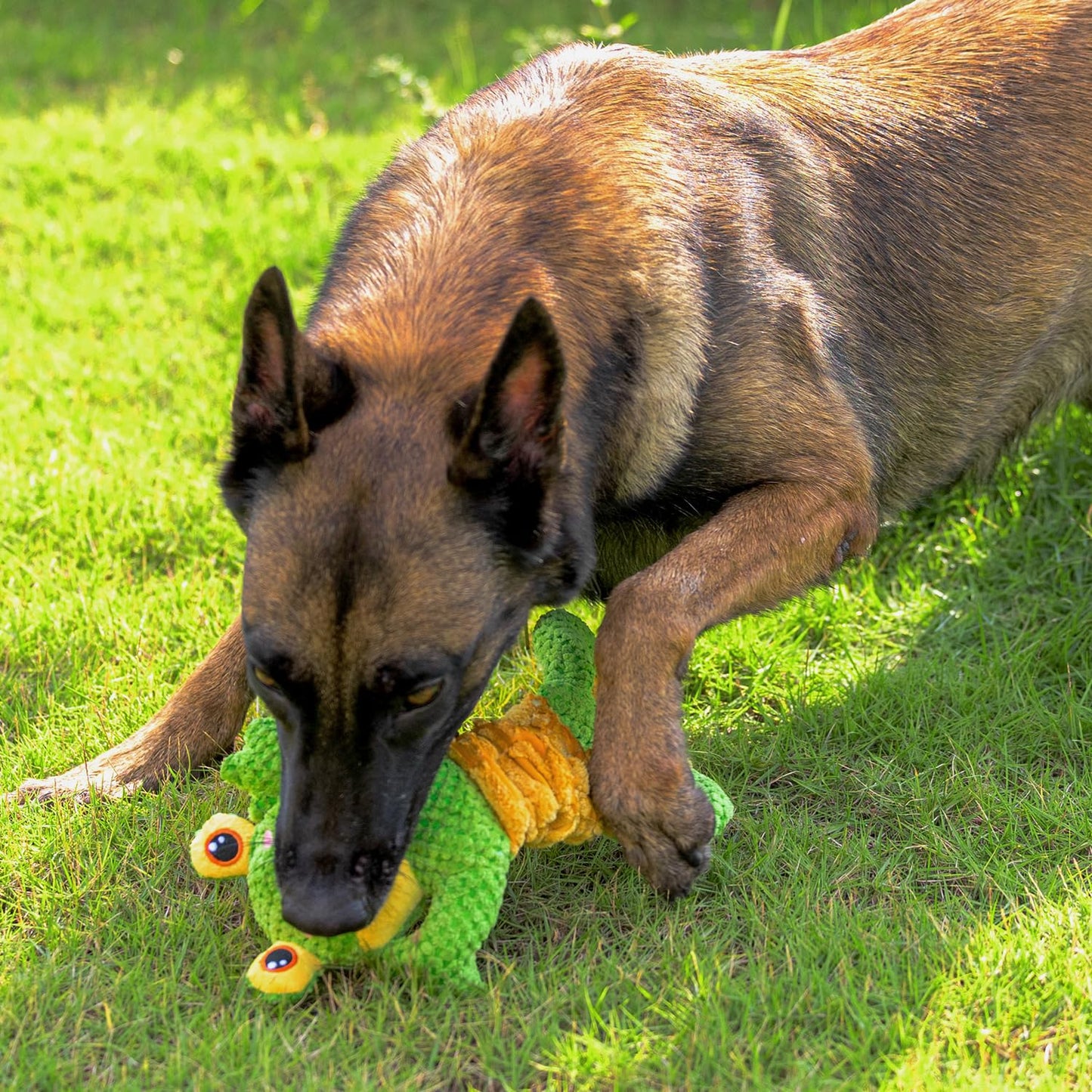 Sedioso Dog Tug Toy, Durable Dog Toy for Large Breed, Tug of War Dog Squeaky Toys, Stuffed Plush Dog Toy with Crinkle Paper for Small, Middle, and Big Dogs(Frog)