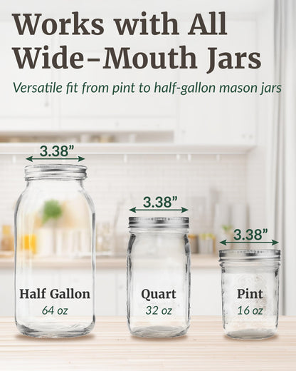 Elementi Sprouts Growing Kit for Wide Mouth Mason Jars, Set of 2 Sprouting Lids for Organic Alfalfa & Mung Bean Sprouts Grow Kit, 316 Stainless Steel Mesh Screen Strainer Lid (Sage Green)