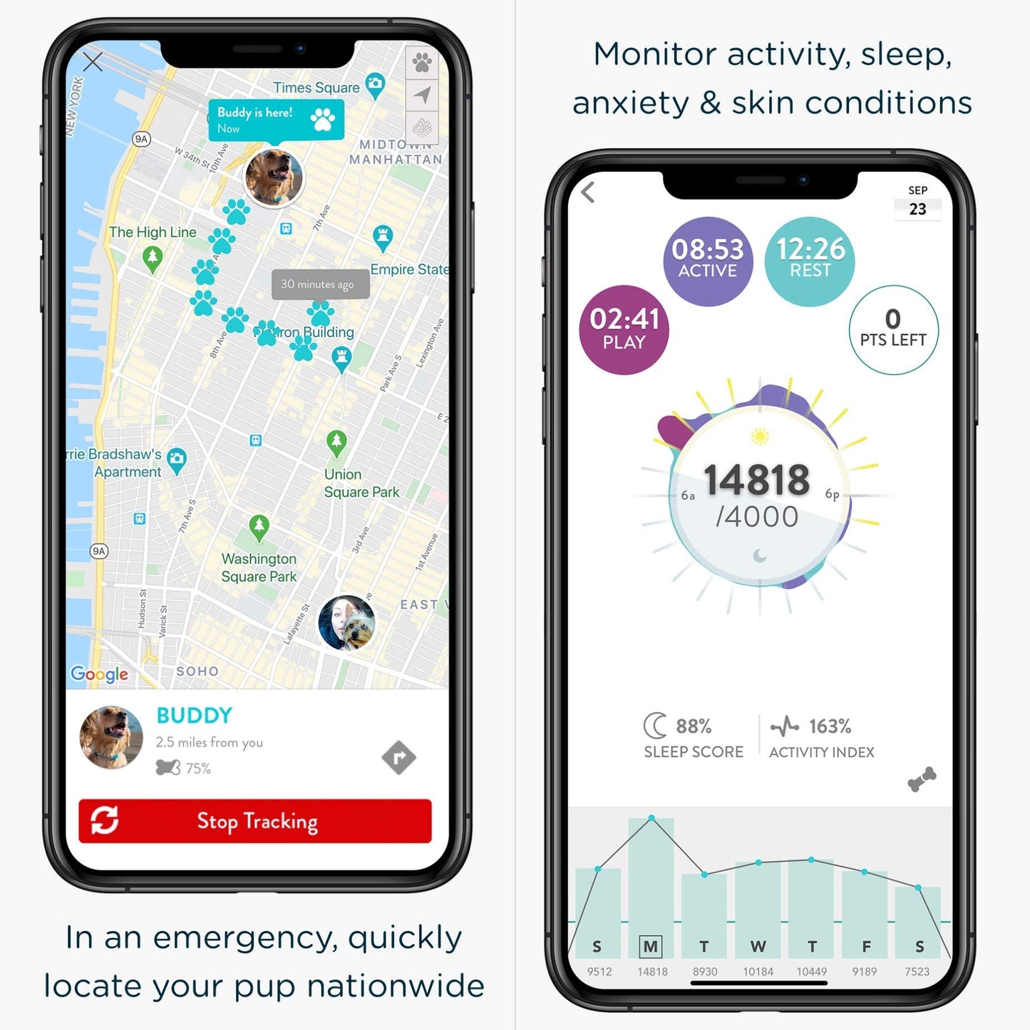 FitBark GPS Dog Tracker 1st Gen (2019) Previous Generation Black