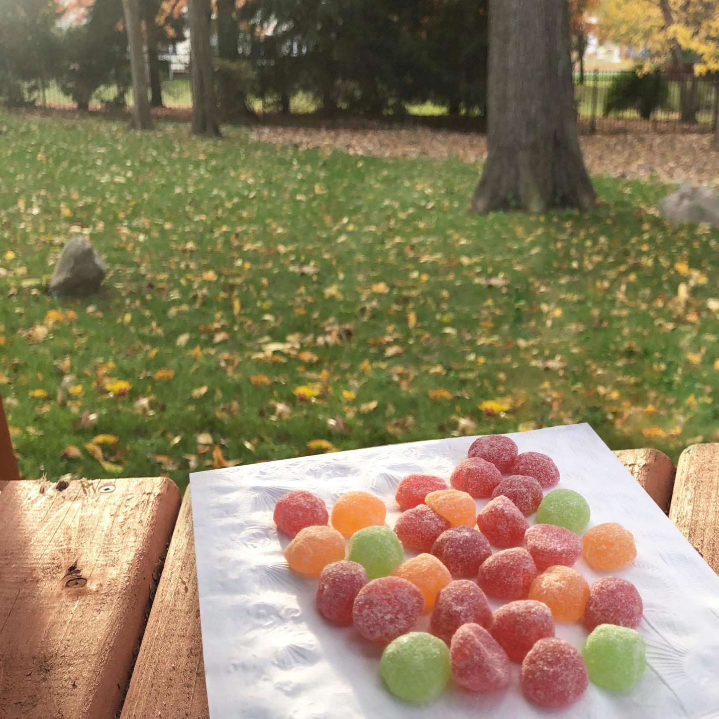 SOUR PATCH KIDS Apple Harvest Soft & Chewy Candy, Halloween Candy, 6 - 10 oz Bags