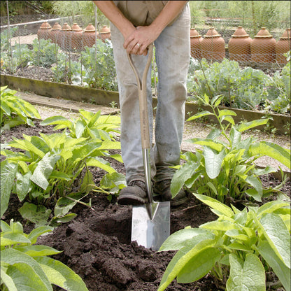 Spear & Jackson 4450DS Traditional Stainless Steel Digging Spade