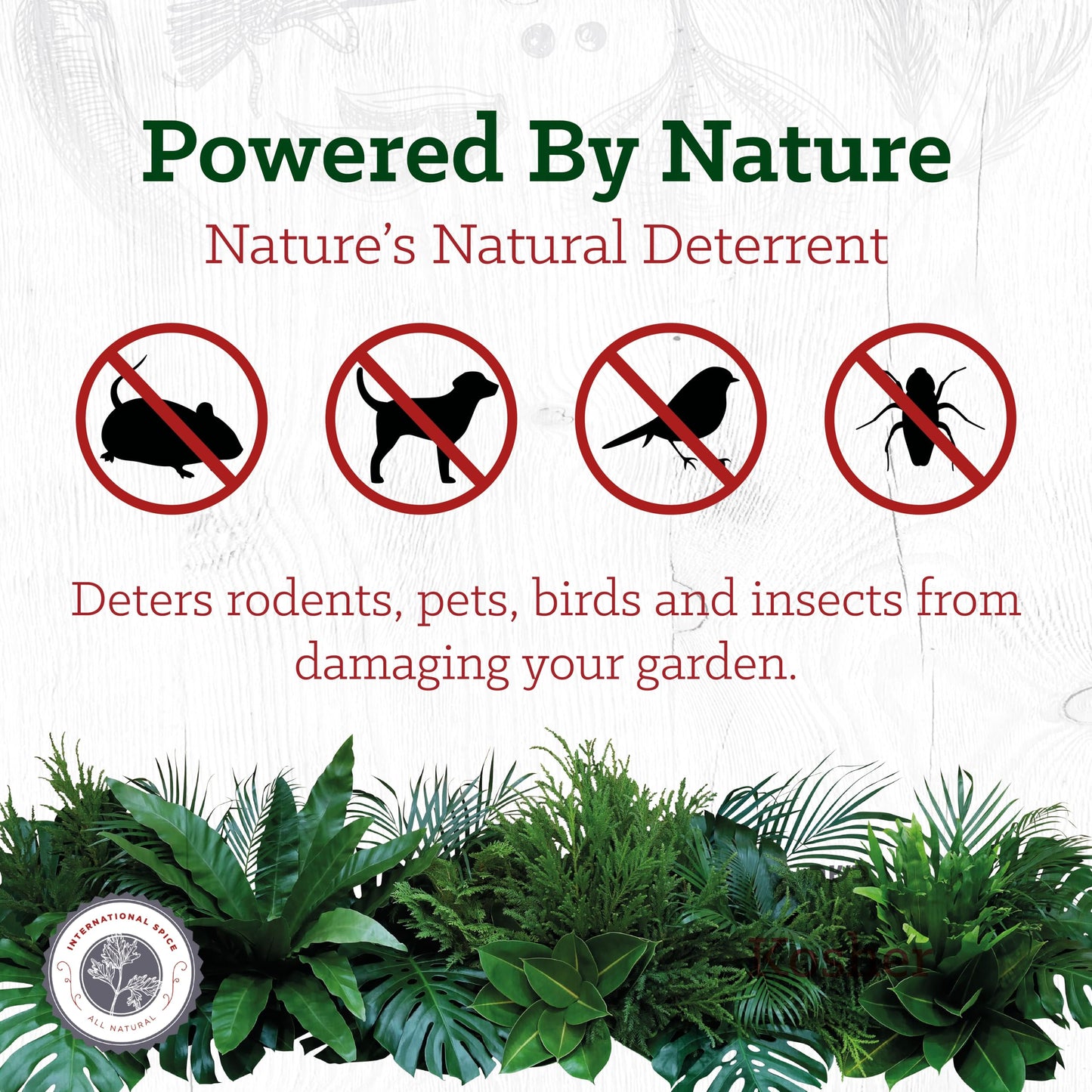 Cayenne Pepper 2 lb by International Spice