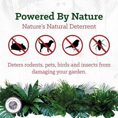 Cayenne Pepper 2 lb by International Spice