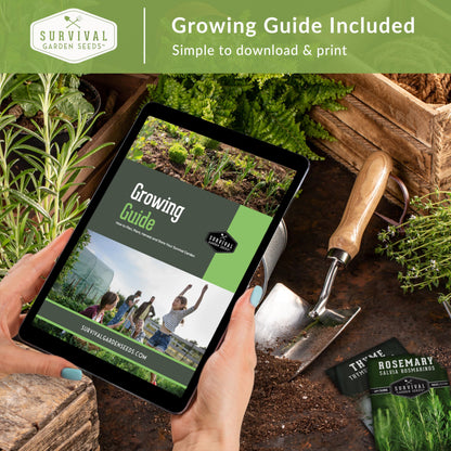 Ultimate Medicinal Herb Seeds Variety Pack – 36 Heirloom Varieties, 28,000+ Lavender, Calendula, Echinacea, Peppermint, Yarrow – Non-GMO Garden Kit by Survival Garden Seeds