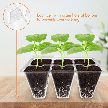 Gardzen 3 Pack Seed Starter Tray Germination Kit, Seed Starter Kit with Adjustable Humidity Dome, Plant Growing Kit 6.6" x 4.5" (12-Cell per Tray), Clear