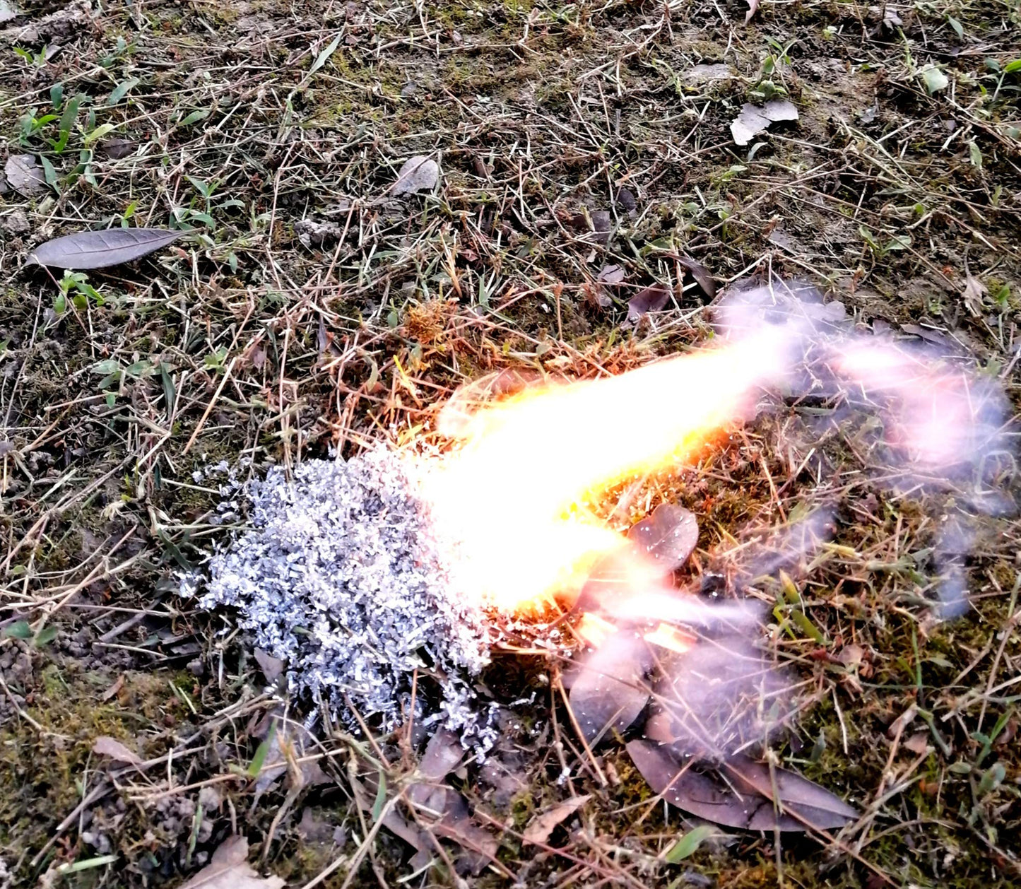 Fire Starter Kit – 6 Magnesium Shaving Packs + Waterproof Windproof Matches in Metal Tin – Emergency Fire Making Kit for Camping, Hiking, Survival, Prepping (Mg + Matches)