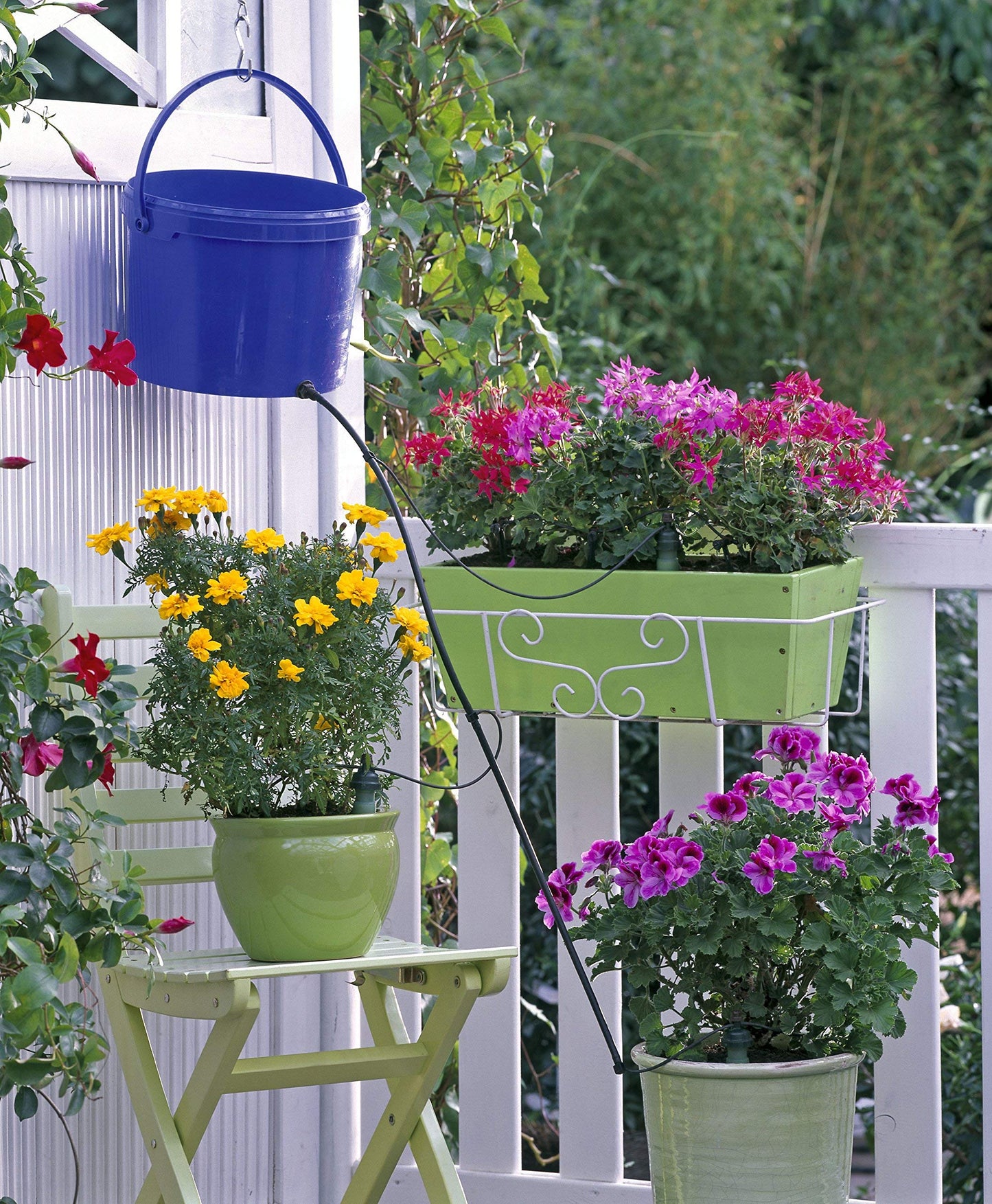 Blumat Drip Irrigation System - Tropf Medium Box Automatic Plant Watering Devices for Garden, Patio and Hanging Baskets - Garden Watering System Up to 12 Plants - Effortless Hydration - 12 Pack