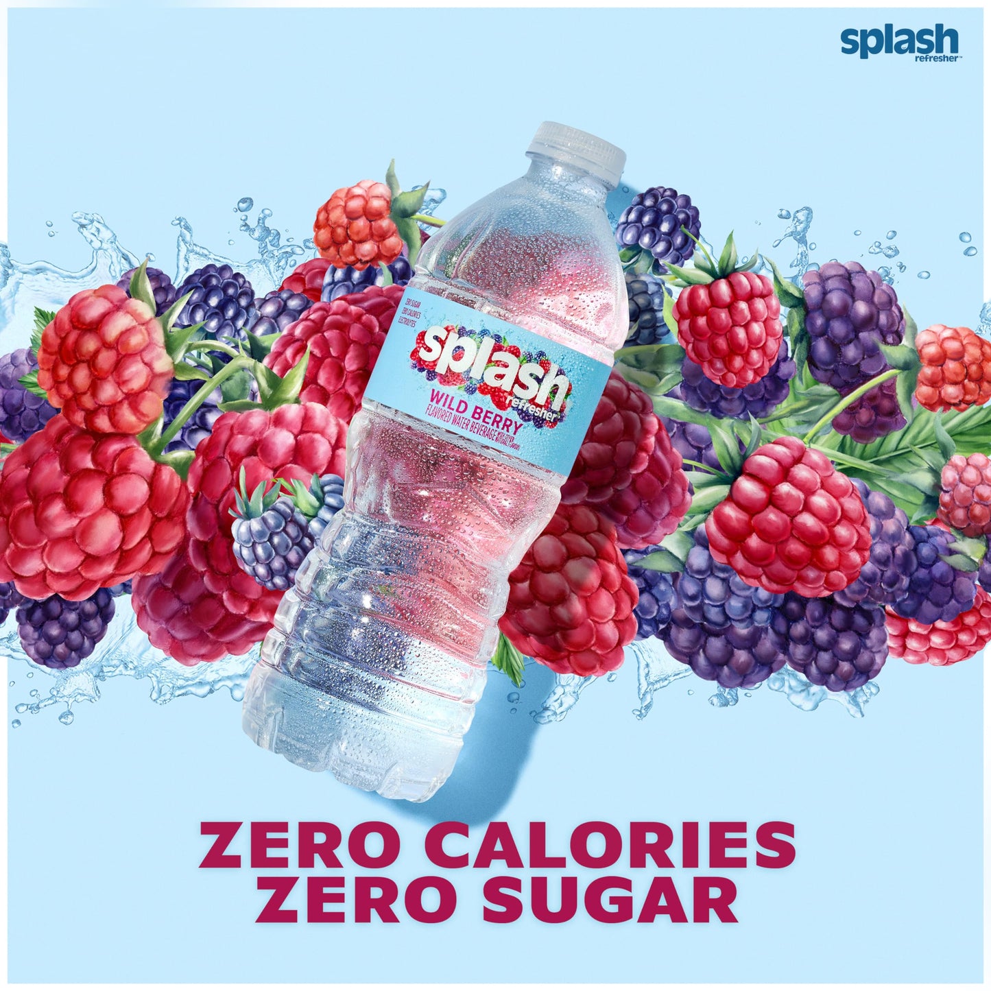 Splash Refresher Flavored Water Bottles, Wild Berry Flavor - 6-Pack, 16.9 Fl Oz - Refreshing Flavored Bottled Water with Electrolytes - Zero Sugar & Zero Calories