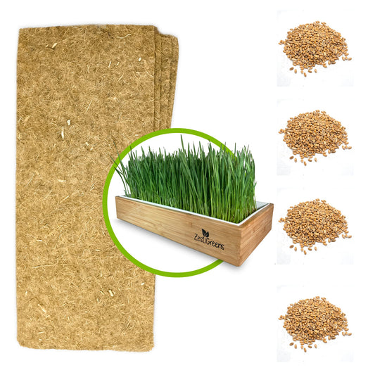 Cat Grass Refills for Self Watering Cat Grass Kit - 4 Mats and 4 Cat Grass Seed Packets (Refill Kit)