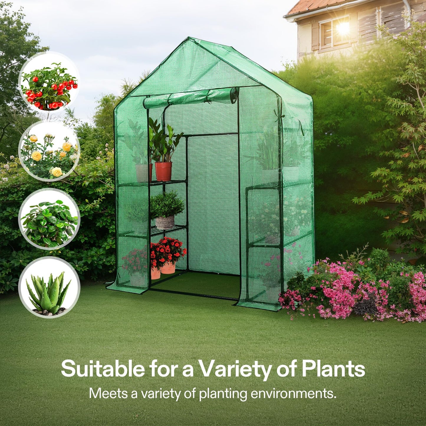 VIVOSUN 57 x 29 x 77-Inch Mini Walk-in Greenhouse with Windows, Shelves and Anchors, Plant Garden Hot House