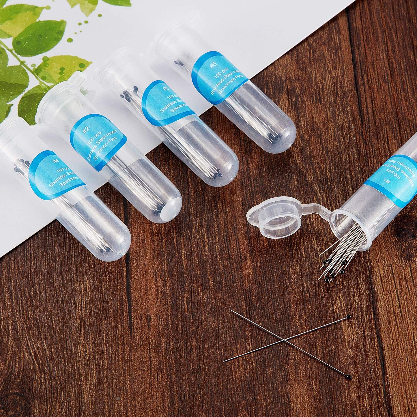 WILLBOND Stainless Steel Insect Pins Kit Specimen Entomology Pins Butterfly Collections Variety Pack for School Entomology Display Butterfly Collectors(500 Pieces,5 Sizes)