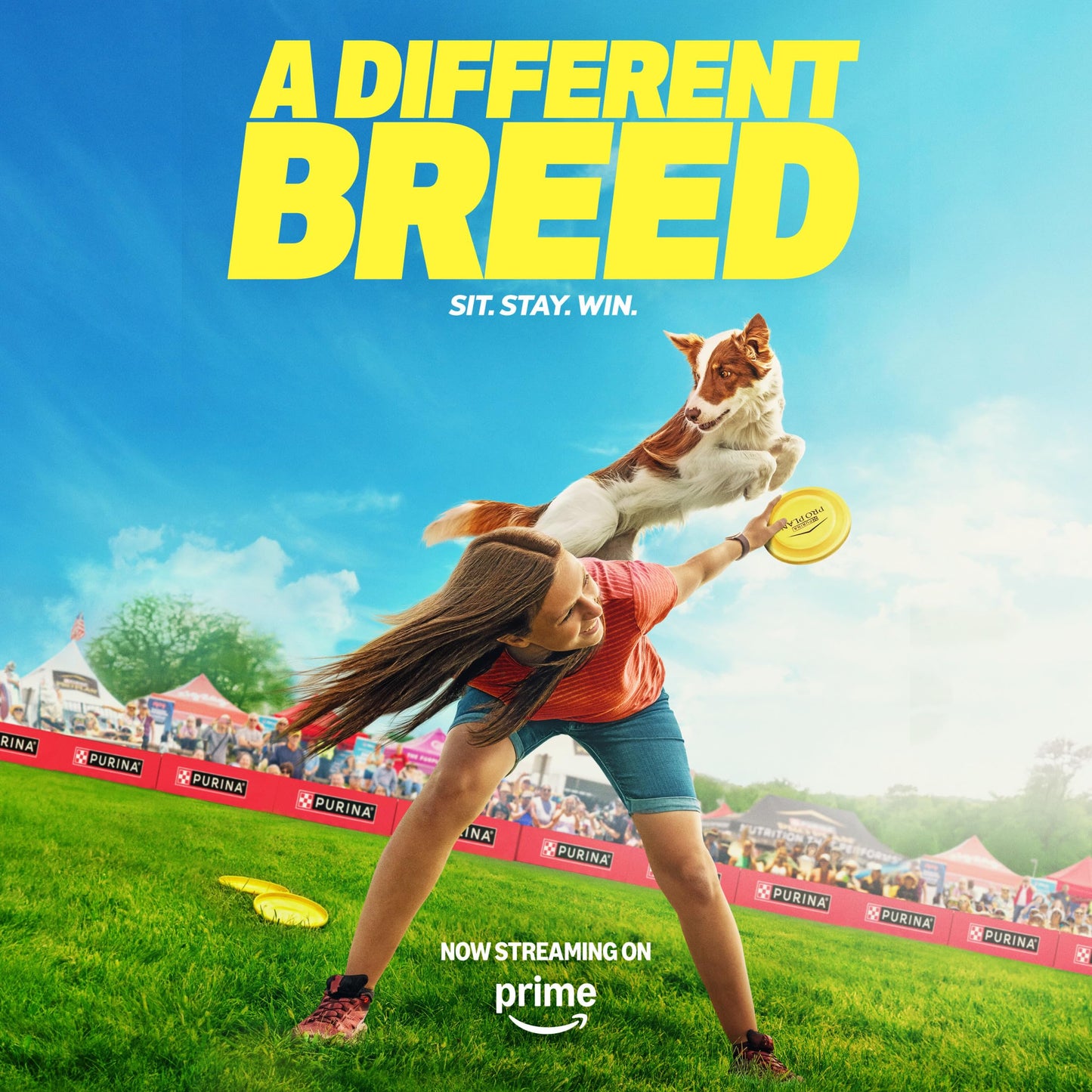 Purina Pro Plan High Protein Dog Food, Small Bites, SPORT 27/17 Lamb and Rice Formula - 6 lb. Bag