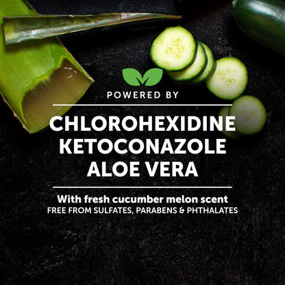 Chlorhexidine Cat & Dog Seasonal Itch Relief Shampoo, for Allergies, Itching, Skin and Coat Supplement, Helps Shedding, Hot Spots, Deodorizing Dog Shampoo & Grooming Supplies,16oz