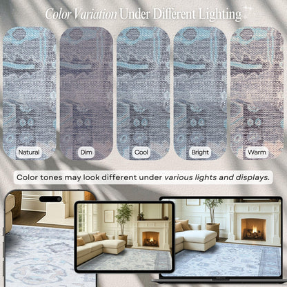 Fame Rugs Modern Oushak Rug 2x3, Doormat Vintage Turkish Gray Oriental Antique Inspired Small Area Rugs, Washable Foldable Luxury Living Room Bedroom (384GB, 2' x 3')