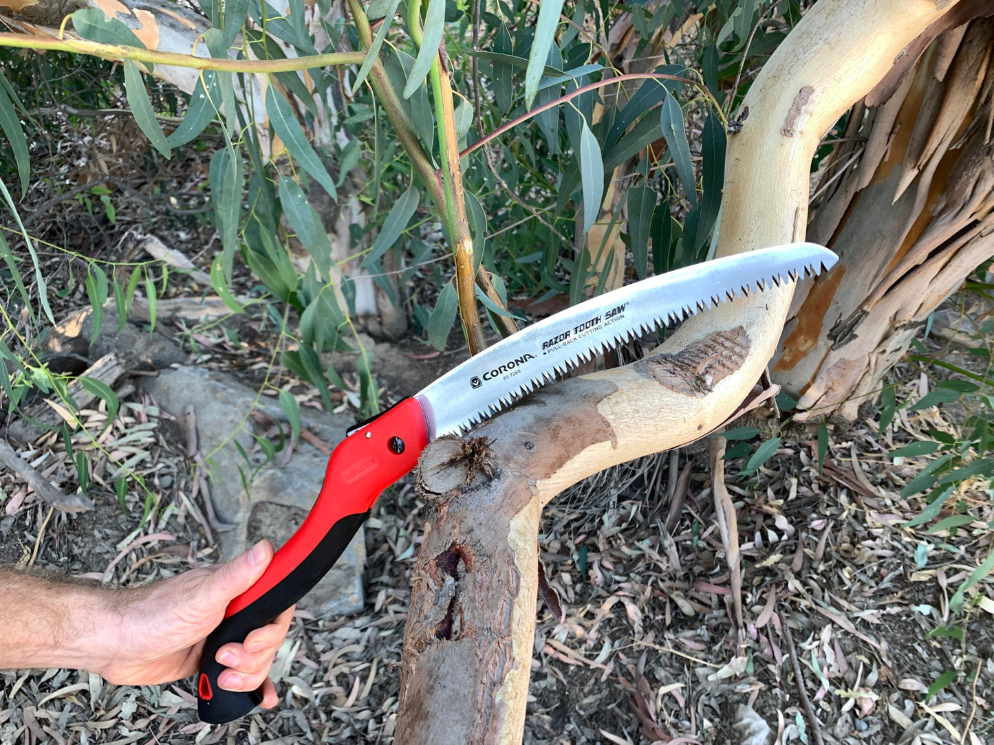 Corona Razor Tooth Folding Saw - 10 Inch Curved Blade