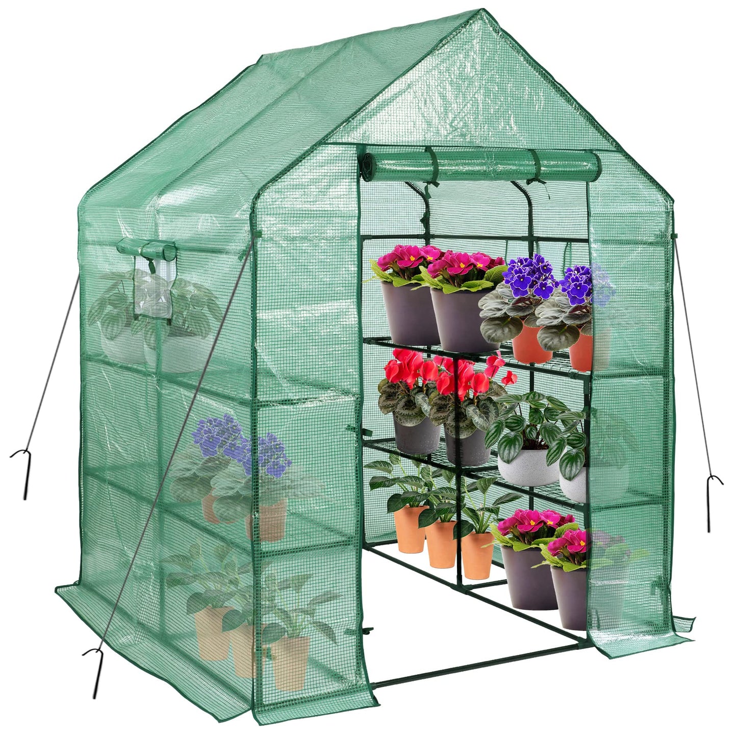 SV SCOOL VALUE Greenhouses for Outdoors, PE Walk in Greenhouse with 2 Side Mesh Windows, Portable Green House with Anchors & Ropes Stands Up to Wind, 56"x56"x78"Green