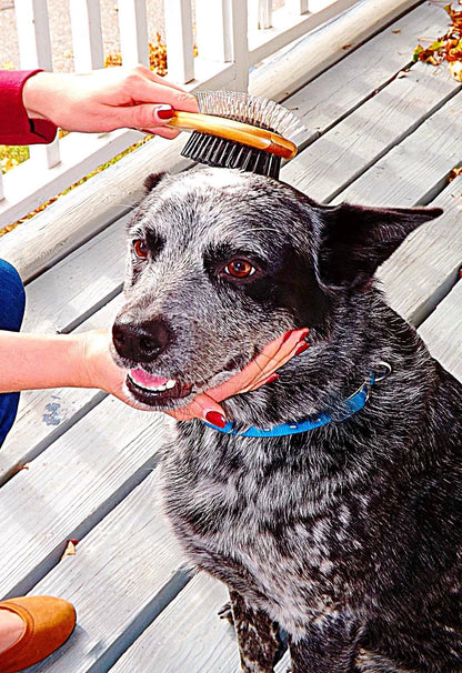 AtEase Accents Double Sided Dog Brush - for Long or Short Haired Dogs and Cats Natural Bamboo Eco Friendly Pet Grooming Dual Sided Pin and Bristles for Deshedding Hair