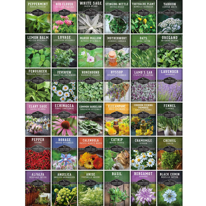 Ultimate Medicinal Herb Seeds Variety Pack – 36 Heirloom Varieties, 28,000+ Lavender, Calendula, Echinacea, Peppermint, Yarrow – Non-GMO Garden Kit by Survival Garden Seeds