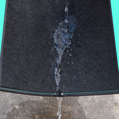 CAR PASS Waterproof Universal Fit Car Floor Mats, Teal Car Mats Fit for SUV,Vans,sedans, Trucks,Set of 4pcs Car Carpet for Women(Black with Mint)